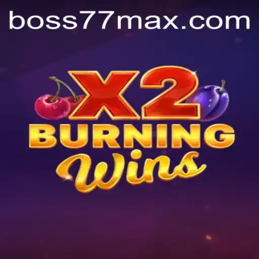 Burning Wins X2 Game Description and Rules